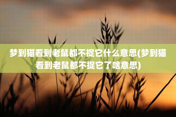 梦到猫看到老鼠都不捉它什么意思(梦到猫看到老鼠都不捉它了啥意思)
