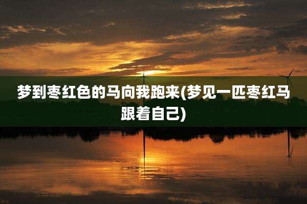 梦到枣红色的马向我跑来(梦见一匹枣红马跟着自己)