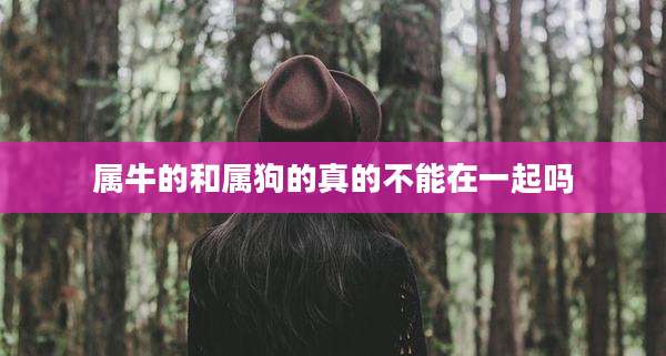 属牛的和属狗的真的不能在一起吗