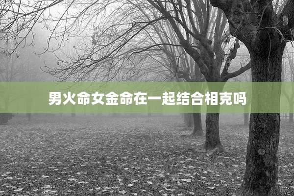 男火命女金命在一起结合相克吗