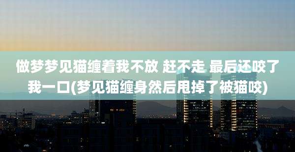 做梦梦见猫缠着我不放 赶不走 最后还咬了我一口(梦见猫缠身然后甩掉了被猫咬)