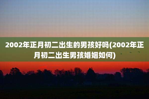 2002年正月初二出生的男孩好吗(2002年正月初二出生男孩婚姻如何)
