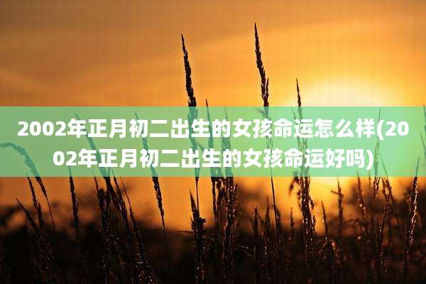 2002年正月初二出生的女孩命运怎么样(2002年正月初二出生的女孩命运好吗)
