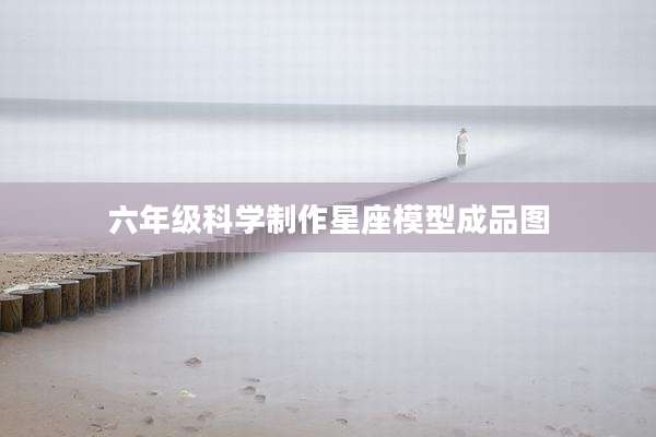 六年级科学制作星座模型成品图