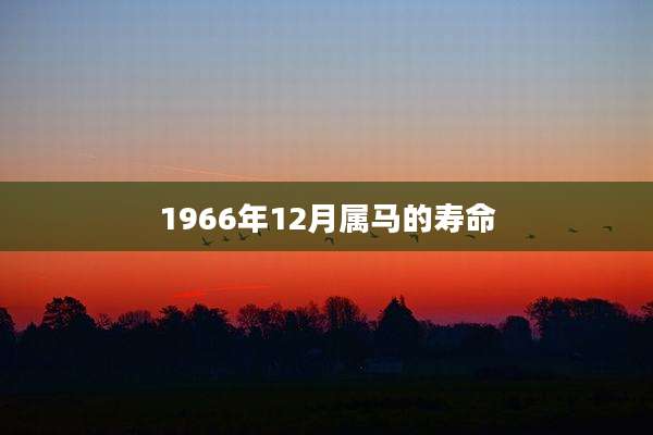 1966年12月属马的寿命