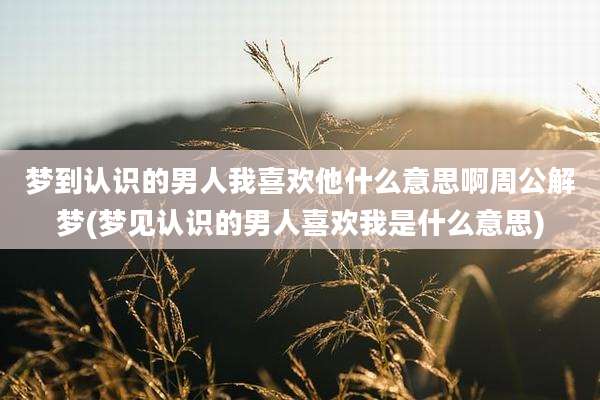梦到认识的男人我喜欢他什么意思啊周公解梦(梦见认识的男人喜欢我是什么意思)