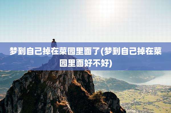 梦到自己掉在菜园里面了(梦到自己掉在菜园里面好不好)