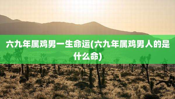 六九年属鸡男一生命运(六九年属鸡男人的是什么命)