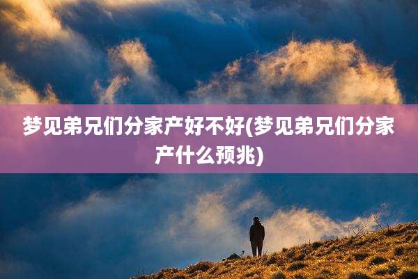 梦见弟兄们分家产好不好(梦见弟兄们分家产什么预兆)