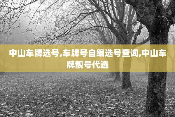 中山车牌选号,车牌号自编选号查询,中山车牌靓号代选