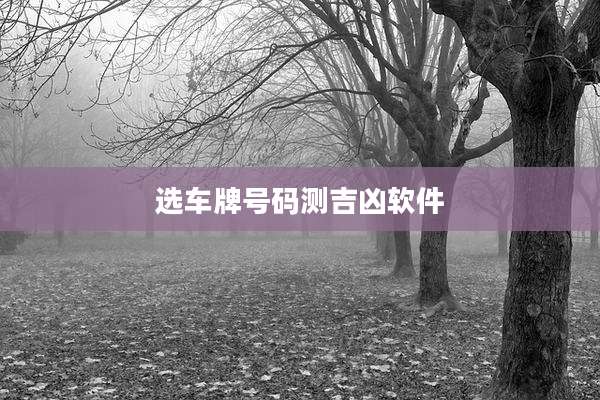 选车牌号码测吉凶软件