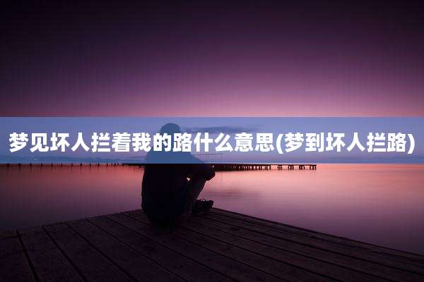 梦见坏人拦着我的路什么意思(梦到坏人拦路)