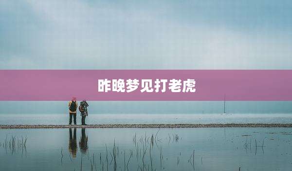 昨晚梦见打老虎