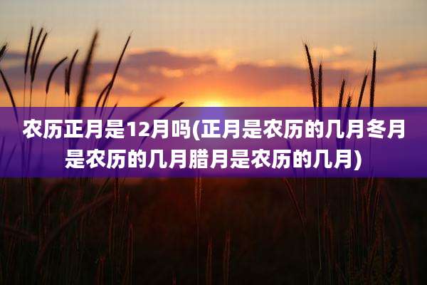 农历正月是12月吗(正月是农历的几月冬月是农历的几月腊月是农历的几月)