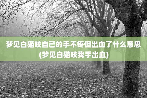 梦见白猫咬自己的手不疼但出血了什么意思(梦见白猫咬我手出血)