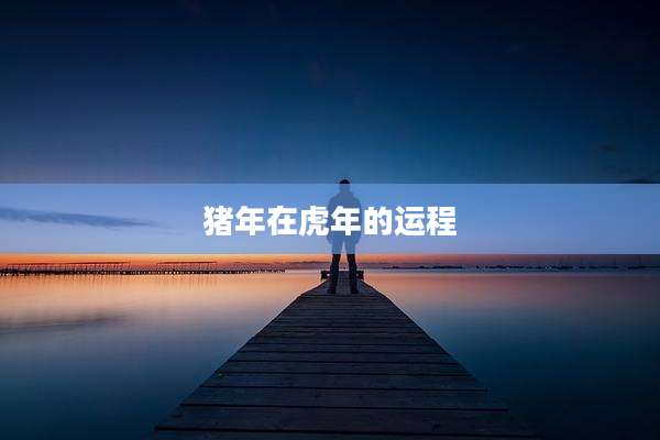猪年在虎年的运程