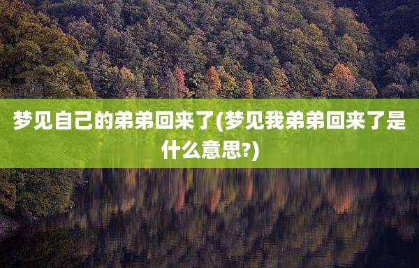 梦见自己的弟弟回来了(梦见我弟弟回来了是什么意思?)