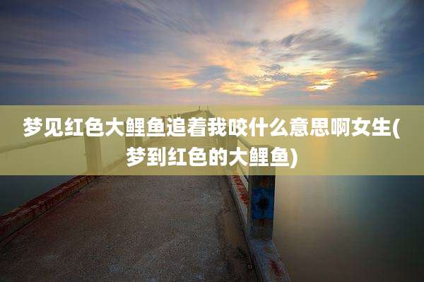 梦见红色大鲤鱼追着我咬什么意思啊女生(梦到红色的大鲤鱼)