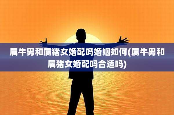 属牛男和属猪女婚配吗婚姻如何(属牛男和属猪女婚配吗合适吗)
