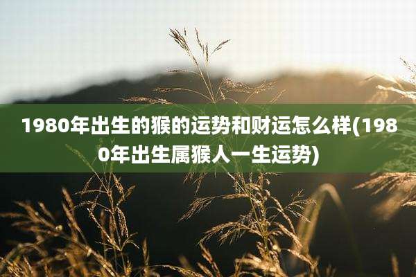 1980年出生的猴的运势和财运怎么样(1980年出生属猴人一生运势)