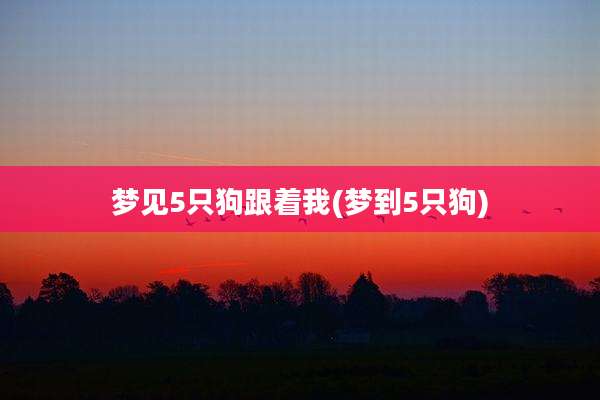 梦见5只狗跟着我(梦到5只狗)