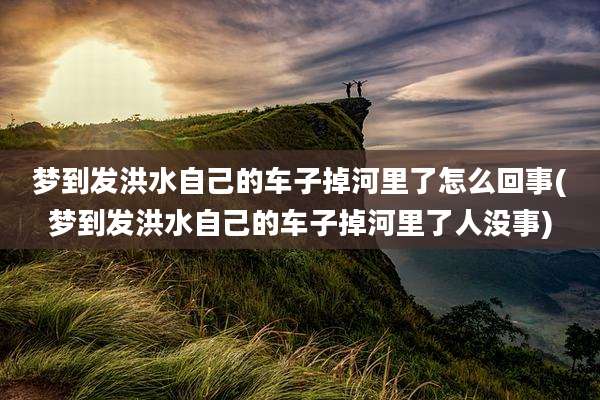 梦到发洪水自己的车子掉河里了怎么回事(梦到发洪水自己的车子掉河里了人没事)
