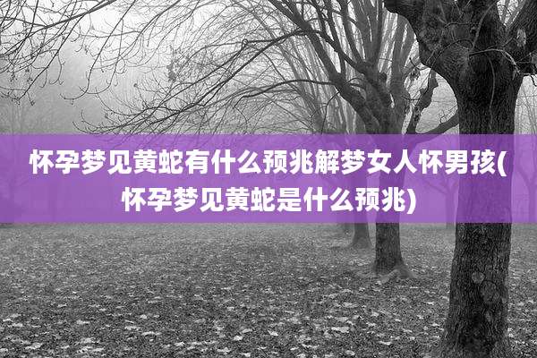 怀孕梦见黄蛇有什么预兆解梦女人怀男孩(怀孕梦见黄蛇是什么预兆)