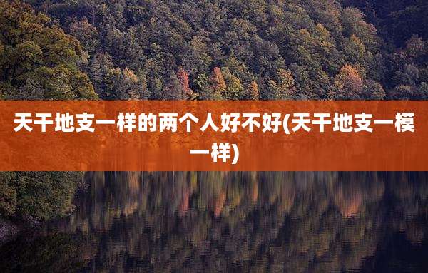 天干地支一样的两个人好不好(天干地支一模一样)
