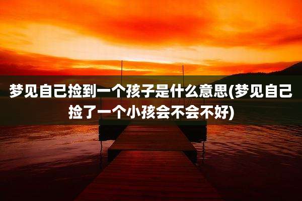 梦见自己捡到一个孩子是什么意思(梦见自己捡了一个小孩会不会不好)
