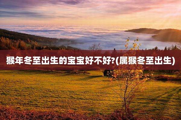 猴年冬至出生的宝宝好不好?(属猴冬至出生)
