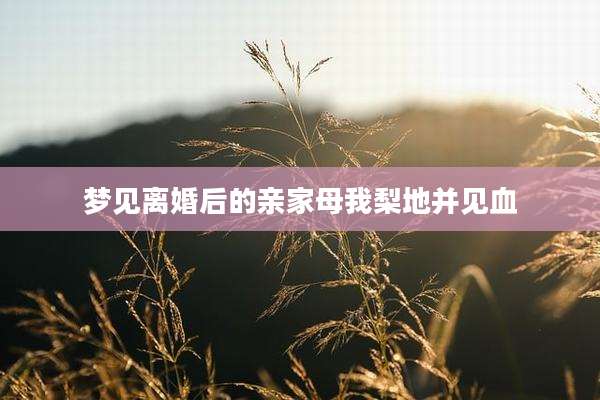 梦见离婚后的亲家母我梨地并见血