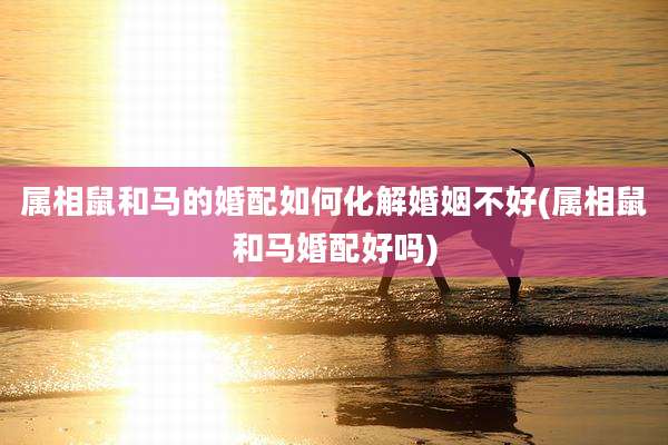 属相鼠和马的婚配如何化解婚姻不好(属相鼠和马婚配好吗)