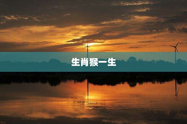 生肖猴一生