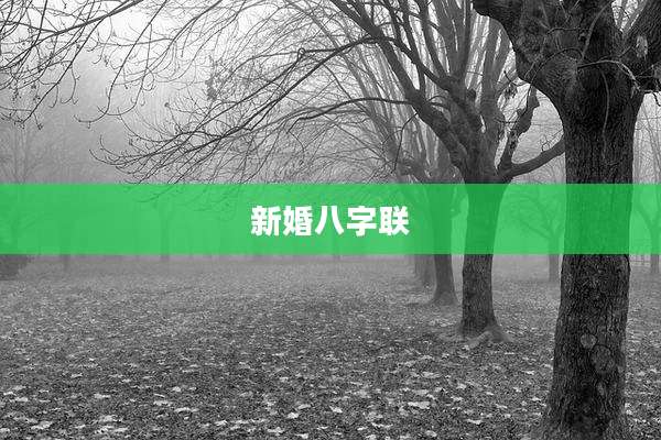 新婚八字联