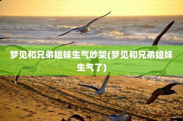 梦见和兄弟姐妹生气吵架(梦见和兄弟姐妹生气了)