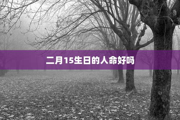 二月15生日的人命好吗