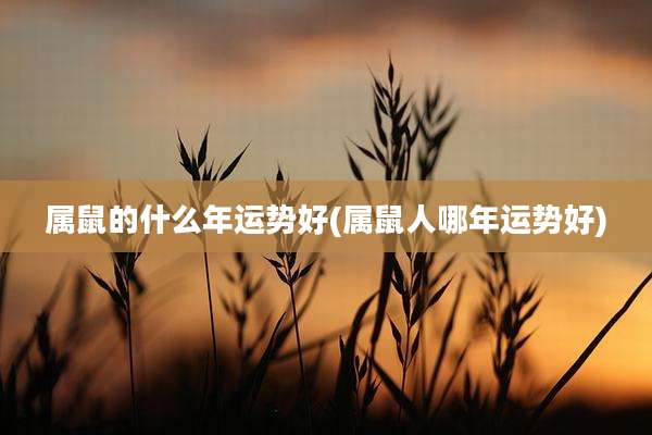 属鼠的什么年运势好(属鼠人哪年运势好)