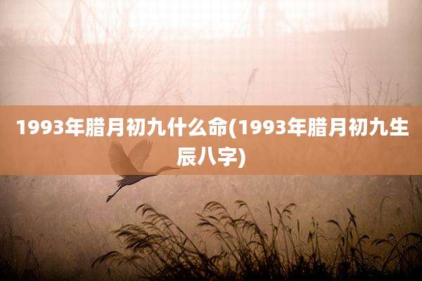 1993年腊月初九什么命(1993年腊月初九生辰八字)