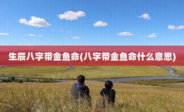 生辰八字带金鱼命(八字带金鱼命什么意思)