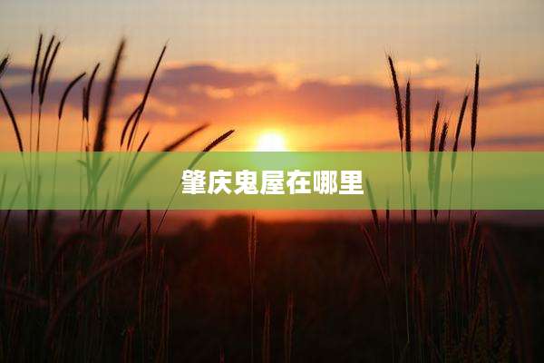 肇庆鬼屋在哪里