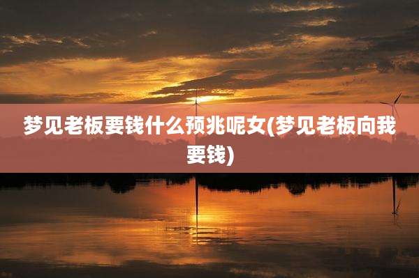 梦见老板要钱什么预兆呢女(梦见老板向我要钱)