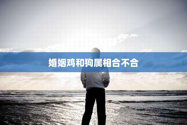 婚姻鸡和狗属相合不合