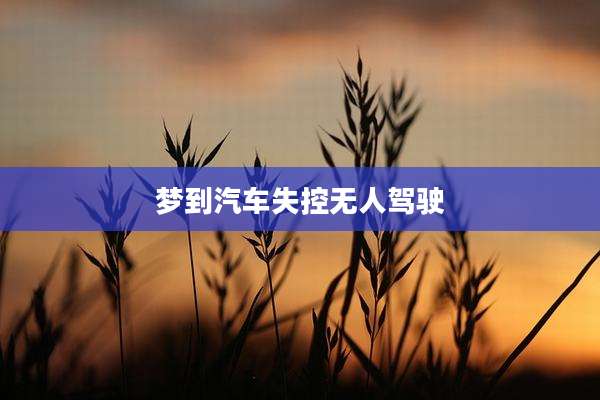 梦到汽车失控无人驾驶