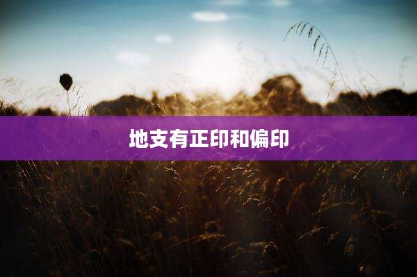 地支有正印和偏印