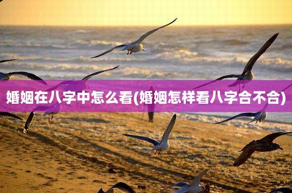 婚姻在八字中怎么看(婚姻怎样看八字合不合)
