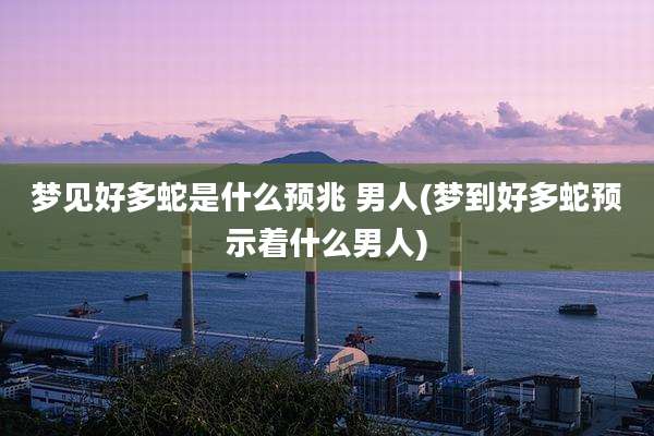 梦见好多蛇是什么预兆 男人(梦到好多蛇预示着什么男人)