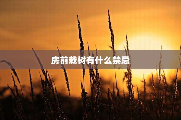 房前栽树有什么禁忌