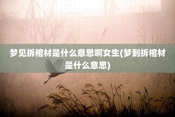 梦见拆棺材是什么意思啊女生(梦到拆棺材是什么意思)