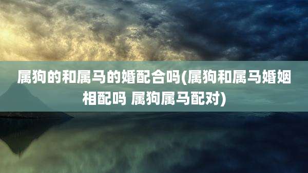 属狗的和属马的婚配合吗(属狗和属马婚姻相配吗 属狗属马配对)