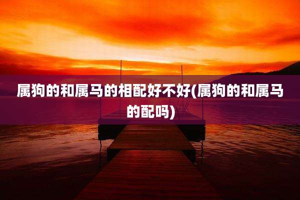 属狗的和属马的相配好不好(属狗的和属马的配吗)